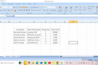 do  professional excel data entry and document coversion