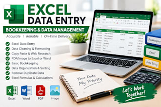 do accounting bookkeeping and data entry in excel