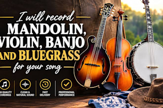 record professional violin, fiddle and mandolin for your song
