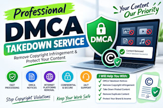 provide dmca takedown service for copyright infringement