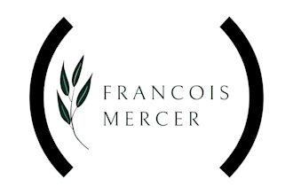 design professional logo, canva and banner