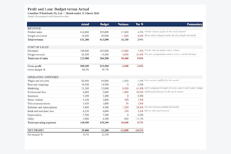 prepare monthly management accounts and a cash flow forecast