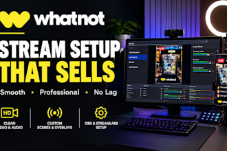 professionally setup your whatnot stream for sellers