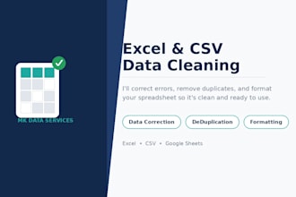 do professional excel data cleaning and formatting
