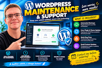 provide professional monthly website maintenance and support