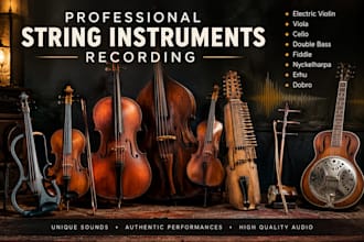record pro violin viola cello double bass fiddle nyckelharpa erhu dobro guitar
