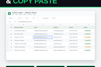 accurate data entry, web research, and excel google sheets