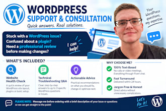 perform a complete wordpress health check and audit