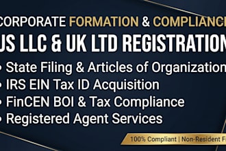handle US llc tax compliance, boi report, and state franchise filings