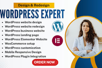 website development design wordpress website as wordpress developer expert