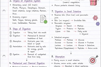 create content writing, presentations, study notes