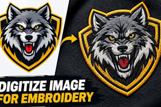 do image digitizing convert logo to embroidery digitizing in vp3 dst pes files