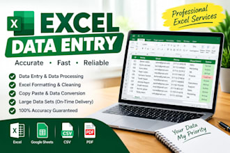 do accurate data entry and excel data entry