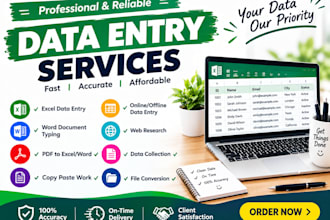 do professional data entry and excel data typing work