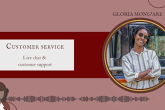 provide professional chat and customer support
