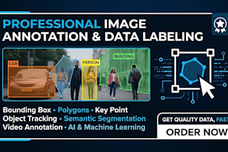 do high quality image annotation data labeling and tagging