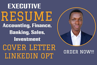 write accounting, finance, banking, sales, investment resume