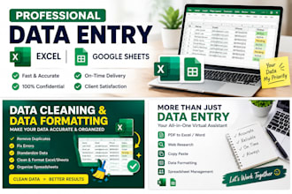 accurate data entry, excel and google sheets work