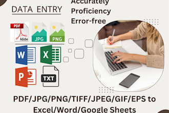 do data entry and file conversion and translation