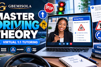 provide professional virtual driving lesson