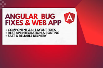 develop and fix bugs in your angular web application