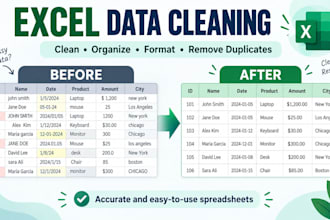 excel data cleaning and organization