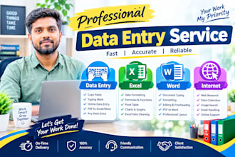 do accurate data entry, copy past and excel data entry