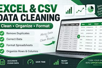 clean, organize and format excel or CSV data