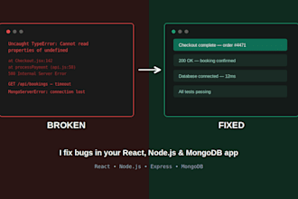 fix bugs and errors in your websites