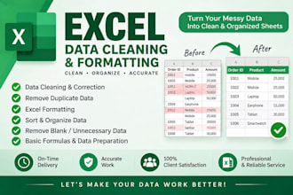 clean, format and organize your excel data