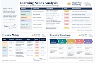 create a customized training needs analysis and learning plan