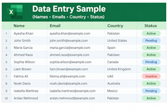 do accurate data entry and excel data formatting