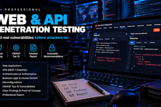 do manual web app penetration testing and vulnerability assessment