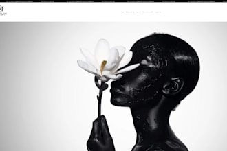 design professional shopify store