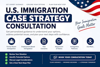 provide a US immigration case strategy consultation