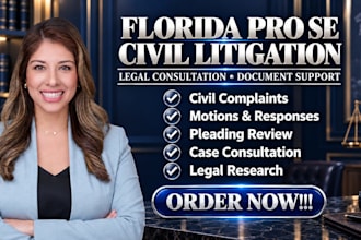 be your florida civil litigation attorney and legal consultant for pro se cases