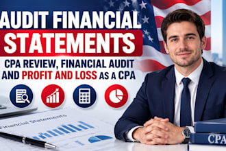 audit financial statements, CPA review, financial audit and profit and loss CPA