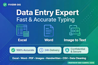 do accurate data entry, typing, copy paste and excel work