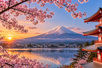 do internet and market research in japan as your virtual assistant