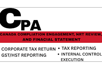 prepare CPA canada compilation engagement, nrt review and financial statements