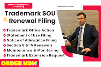 file uspto statement of use and trademark renewal filing