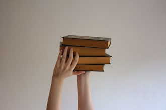 beta read your book