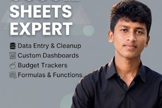 do professional google sheets data entry, custom dashboards and formulas