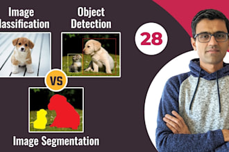 do object detection image classification and  segmentation using python