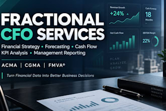 provide fractional cfo services and financial strategy