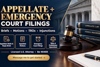 draft complex appellate motions and court documents