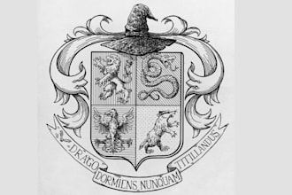 design a vintage coat of arms logo with custom heraldic illustration
