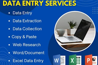 do expert data entry and microsoft excel data cleaning
