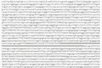build a reference guided chromosome assembly from your scaffold genome