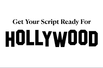 provide industry standard script coverage